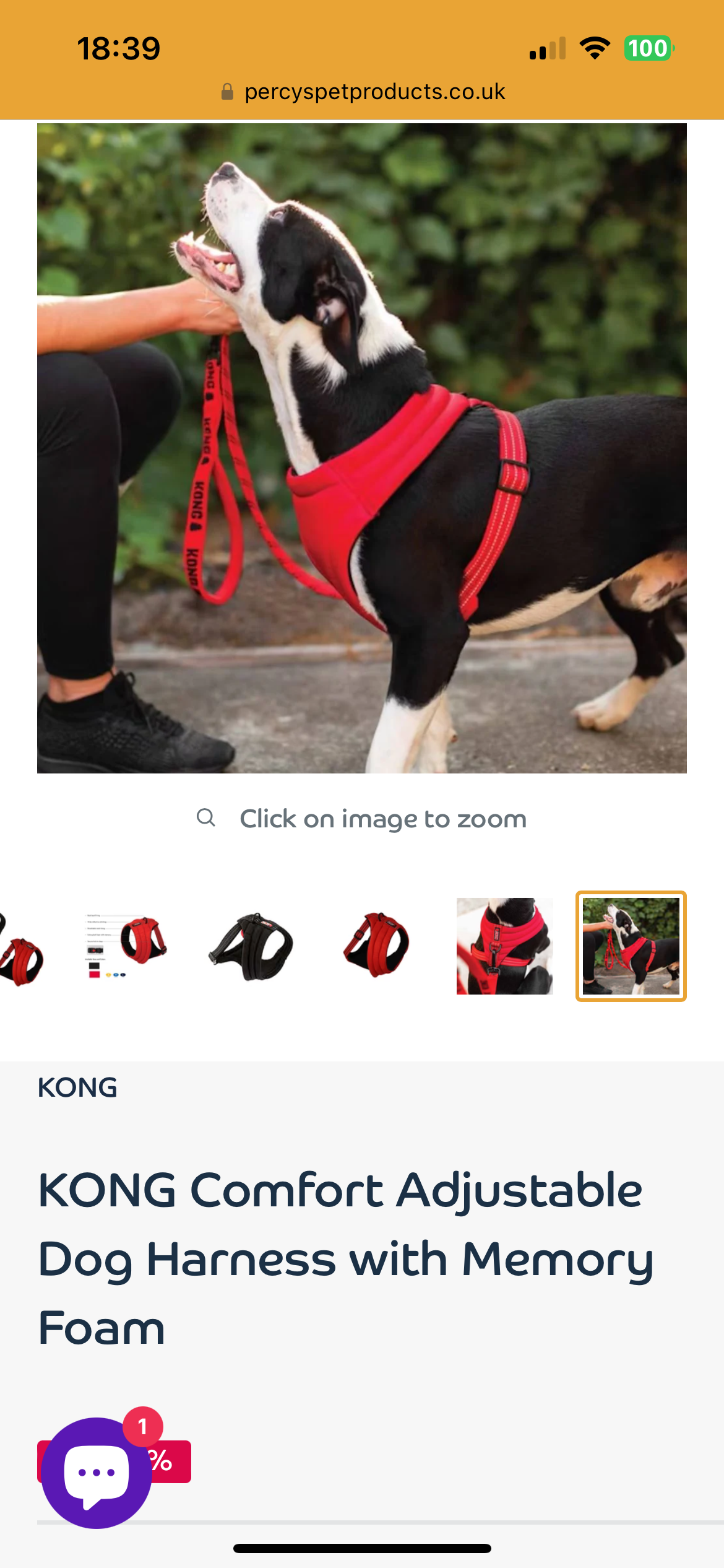 Harness for greyhound.
